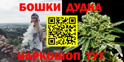 СК Обь