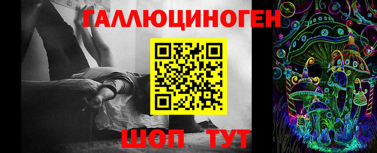 купить закладку  Галлюциногенные грибы MAGIC MUSHROOMS  Вход с VPN  Таганрог 